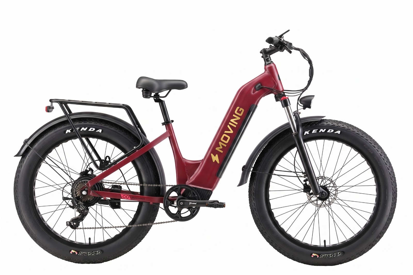 Fat Tire Electric Bike