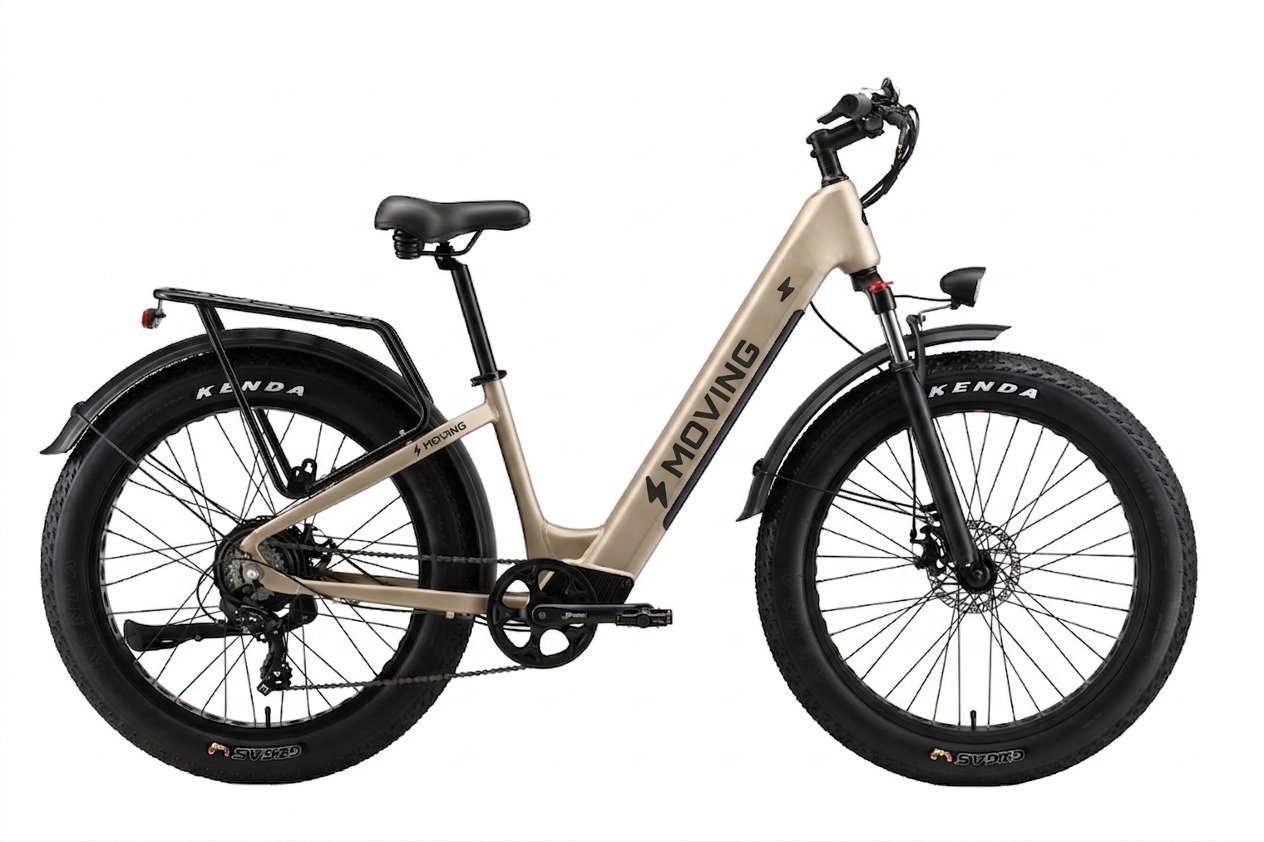 Fat Tire Electric Bike